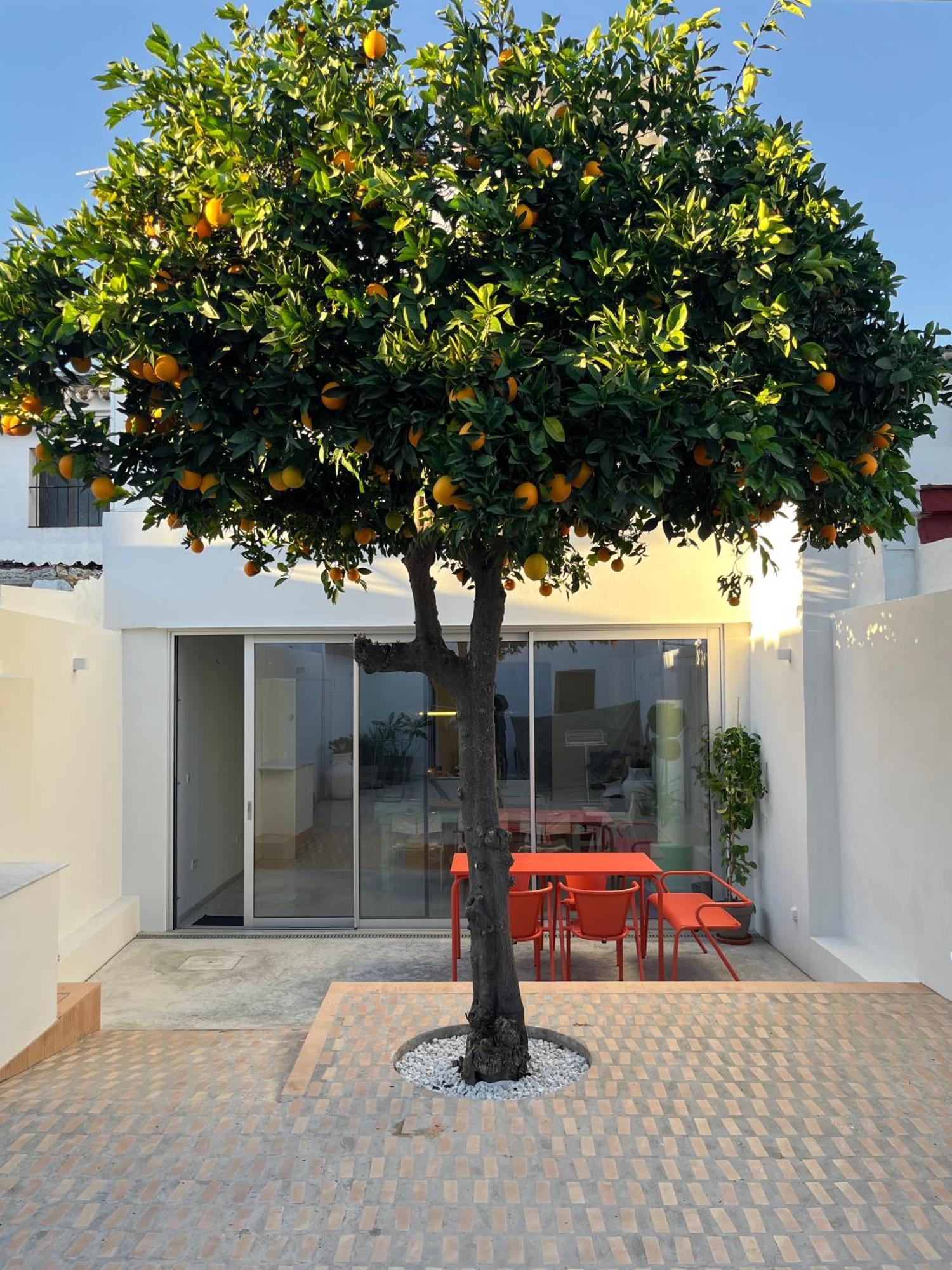 Design & Art, Patio With Orange Tree, Near Seville Carrion de Los Cespedes ภายนอก รูปภาพ